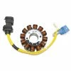 Stator PIAGGIO LEADER 125/150/180/200 1 Stator PIAGGIO LEADER 125/150/180/200 -MORACO Sales Shop 168021 1