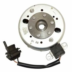 Volant 12 Pôles PIAGGIO 50/100 4 TEMPI