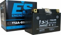 BATTERIE ENERGY SAFE EST12A-BS 12V/10AH