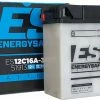 BATTERIE ENERGY SAFE 12C16A-3A 51913 -MORACO Sales Shop E51913 1